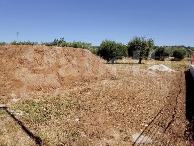Foto Terreno residenziale in Via Gramsci 15, Sant'Omero Garrufo di 600 m²
