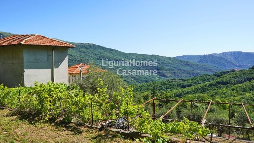 Foto Appartamento in Strada ville San Pietro, Borgomaro Ville San Pietro