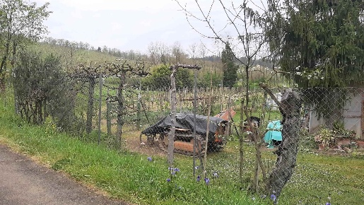 Foto Struttura sanitaria a San Gimignano di 69 m² con 2 locali in vendita
