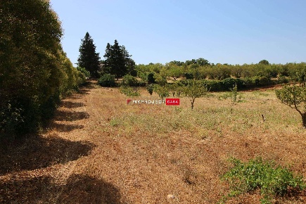 Foto Terreno edificabile a Martina Franca di 9800 m² in vendita