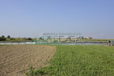 Foto Terreno agricolo a Cascina San Frediano Sud - San Lorenzo a Pagnatico