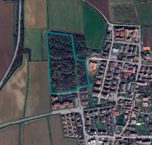 Foto Terreno residenziale a Bornasco di 49626 m² in vendita