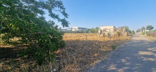 Foto Terreno agricolo in Zona Pipini, San Donaci di 1000 m² in vendita
