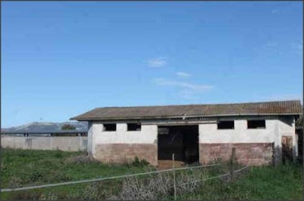 Foto Terreno agricolo in VIA TIVERA 14, Cisterna di Latina di 1423 m²