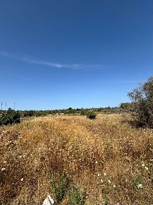 Foto Terreno edificabile in Via Kennedy, Collepasso di 1800 m² in vendita