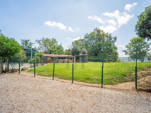 immagine annuncio 6 di 12