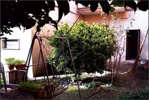 immagine annuncio 5 di 12
