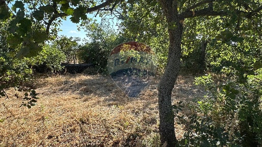 Foto Terreno residenziale in CONTRADA MONTI ARSI, Gravina di Catania Centro