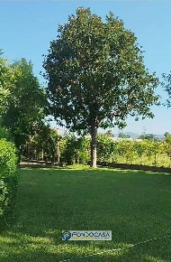 Foto Casa indipendente in VIA OLMO, Bellizzi di 537 m² con 14 locali