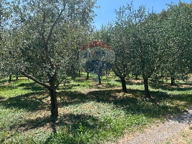 Foto Terreno agricolo in Via delle Pozzette, Soiano del Lago di 24000 m²