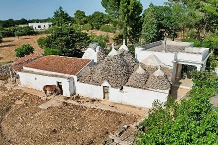 Foto Rustico in Str. Vicinale Monte Carello s.n, Alberobello di 283 m²