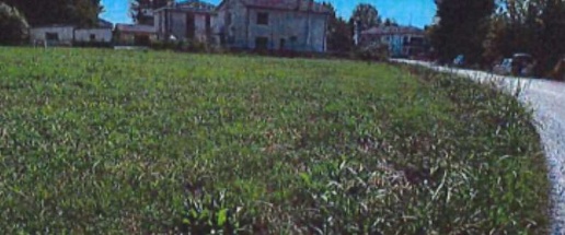 Foto Terreno edificabile in Via Correggio, Bondeno Casumaro di 5116 m²