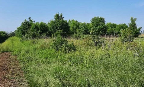 Foto Terreno edificabile in Strada Provinciale 462 R, Cortemaggiore Centro