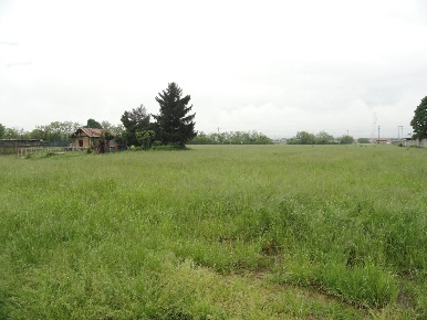Foto Terreno agricolo a Cornate d'Adda di 16260 m² in vendita