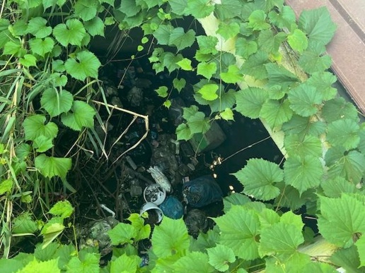 immagine annuncio 7 di 9