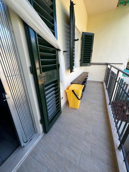 immagine annuncio 12 di 14