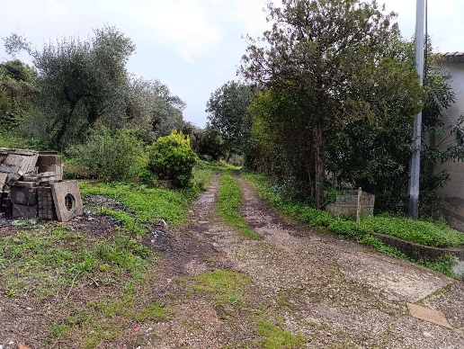 immagine annuncio 8 di 9