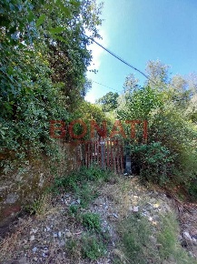 Foto Terreno agricolo a Vezzano Ligure di 3163 m² in vendita