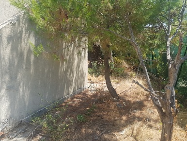 Foto Villa unifamiliare in Rosa Marina Via Jasmine 13, Ostuni Ostuni Costa