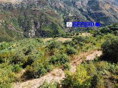 Foto Agriturismo in CONTRADA PANTANELLA, Luzzi di 130 m² in vendita