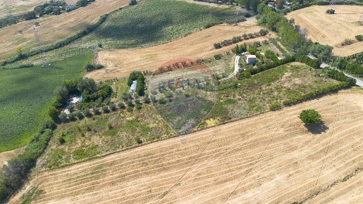 Foto Terreno agricolo a Ancona Baraccola - Aspio di 10003 m² in vendita