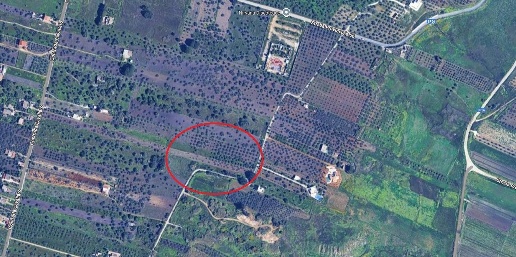 Foto Terreno agricolo in Sp56, Castelvetrano di 3900 m² in vendita