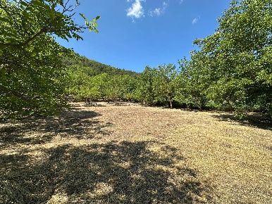 Foto Terreno residenziale in Via Turri, Caporciano Centro di 2400 m²