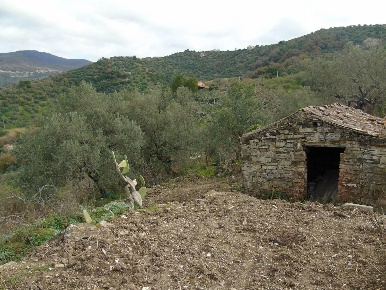 Foto Terreno residenziale a San Mauro Cilento Centro di 8500 m² in vendita