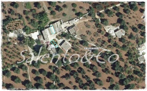 immagine annuncio 6 di 7