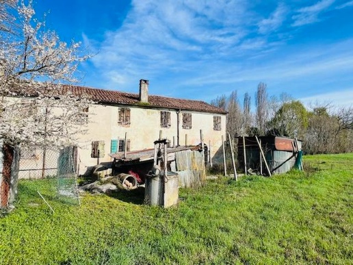 immagine annuncio 3 di 8