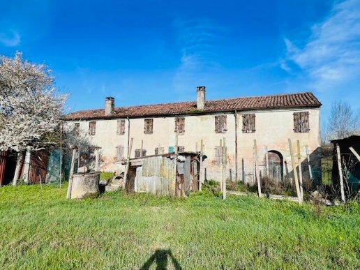 immagine annuncio 4 di 8