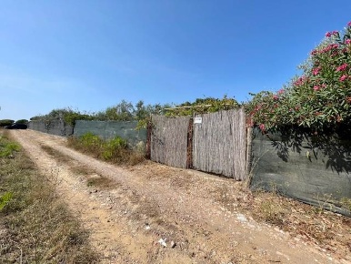 Foto Terreno agricolo a Follonica Area Rurale, Poggio Tre Cancelli di 39 m²