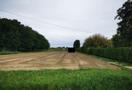 Foto Terreno agricolo in Via Crosara, Lendinara di 11665 m² in vendita
