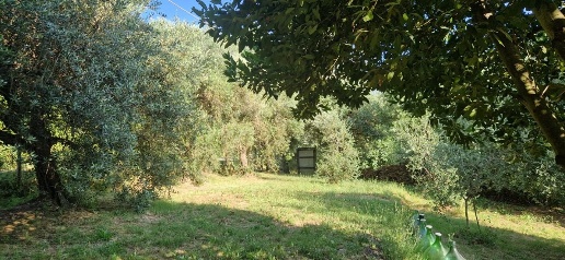 Foto Appartamento a Fauglia Centro di 71 m² con 2 locali in vendita