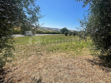 Foto Casa indipendente in Via MACERATA 0, Jesi Borgo Minonna di 120 m²