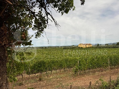 Foto Villa unifamiliare in PROVINCIALE BOLGHERESE, Castagneto Carducci