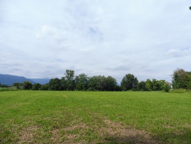 Foto Terreno agricolo in Via Duca di Modena 0, Cartigliano Centro
