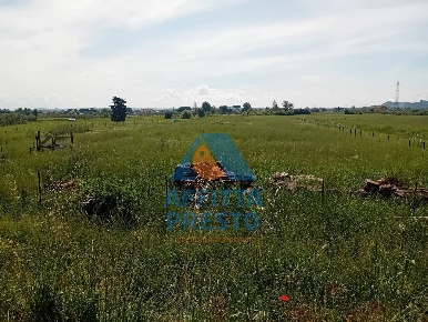 Foto Terreno agricolo a San Miniato di 5520 m² in vendita