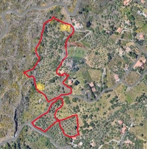 Foto Rustico in ALTARINO VOITIVO, Adrano di 300 m² con 10 locali in vendita