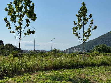 Foto Locale commerciale in Via Marici, Toirano Canapari Marici di 7500 m²