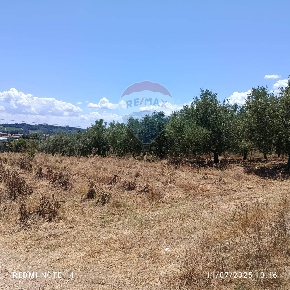 Foto Terreno agricolo in via vaschiola, Torrevecchia Teatina di 4265 m²