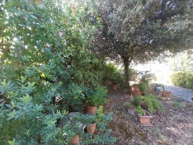 Foto Villa unifamiliare a Rosignano Marittimo di 240 m² con 10 locali