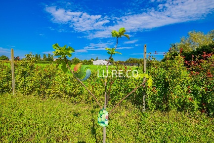 Foto Terreno agricolo in Via dell'industria, Vimercate Torri Bianche