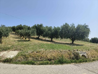 Foto Terreno agricolo in Contrada Magazzini, Acquaviva Picena di 7610 m²