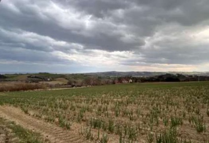 Foto Terreno edificabile in Via Buona Cesta Maggiore, Mondolfo di 11695 m²