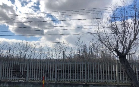 Foto Terreno edificabile in Frazione Torrette, Fano Torrette - Ponte Sasso