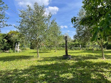 Foto Terreno agricolo a Viterbo Bagnaia - La Quercia di 1400 m² in vendita