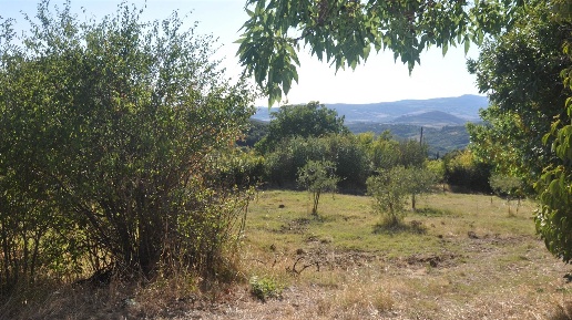 Foto Struttura sanitaria in Via dei Giardini, Castellina Marittima di 20 m²