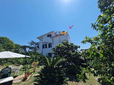 Foto Attico in via delle cycas, Ardea Lido dei Pini di Ardea - Lupetta
