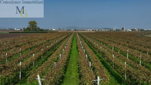 Foto Terreno agricolo a San Bonifacio di 19795 m² in vendita
